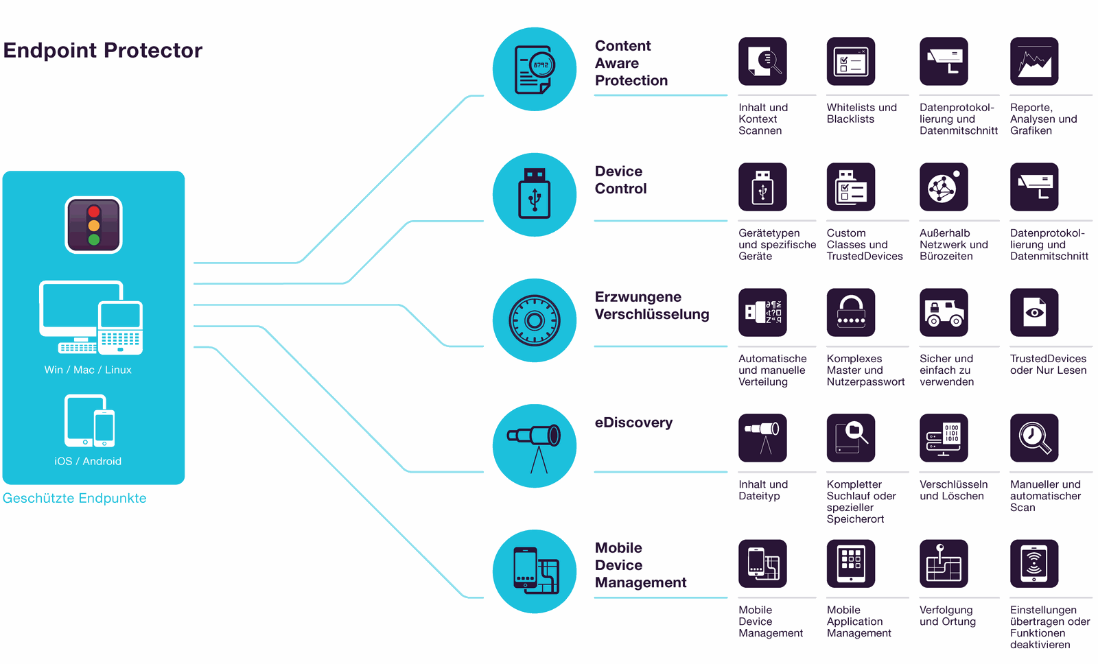 Layout and function